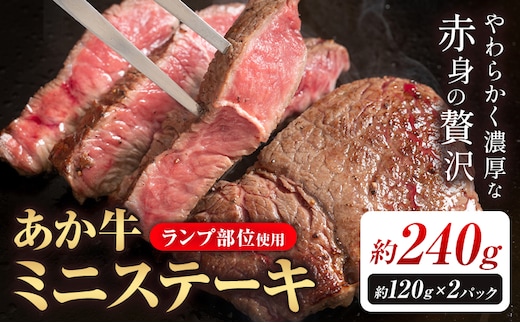 あか牛ミニステーキ ランプ部位使用 約240g 合同会社たべたせいか《30日以内に出荷予定(土日祝除く)》熊本県 菊池市 肉 牛肉 お肉 和牛 あか牛 ステーキ ミニステーキ 個包装 小分け 熊本県産 冷凍 送料無料---069-2059---