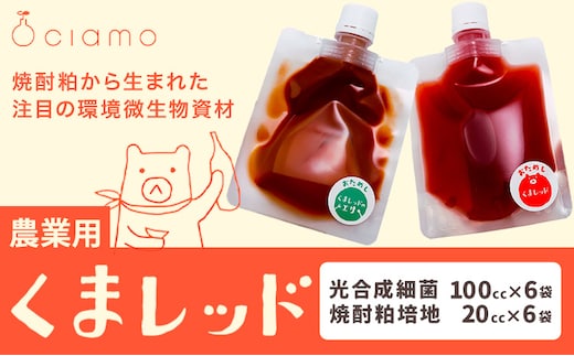 光合成細菌くまレッド 農業用 2L培養キット×6セット 株式会社Ciamo 《90日以内に出荷予定(土日祝除く)》熊本県 菊池市 ガーデニング 農業用 観葉植物 家庭菜園---178-2190---