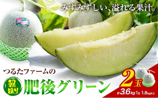 つるたファームの 朝採り 肥後グリーン メロン 1.8kg以上 2玉 株式会社七城の恵み《5月上旬頃から出荷開始》熊本県 菊池市 メロン つるたファーム---126-2513---