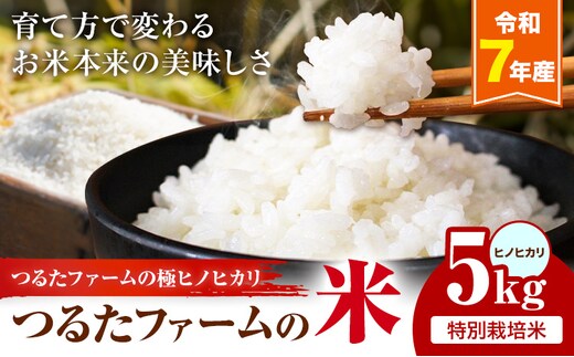 令和7年産 つるたファームの米 極ヒノヒカリ 特別栽培米 ヒノヒカリ 5kg 株式会社七城の恵み《30日以内に出荷(土日祝除く)》熊本県 菊池市 米 ひのひかり つるたファーム---126-1014---