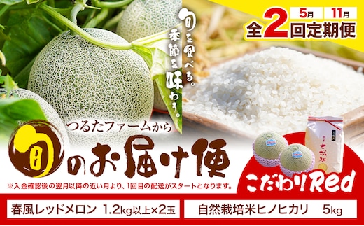 【全2回定期便】つるたファームから旬のお届け便 こだわりRed 自然栽培米 ヒノヒカリ 5kg 春風レッド メロン 2玉 株式会社七城の恵み《メロン5月・米11月出荷予定》熊本県 菊池市 米 メロン ひのひかり 定期便 つるたファーム---126-1590---
