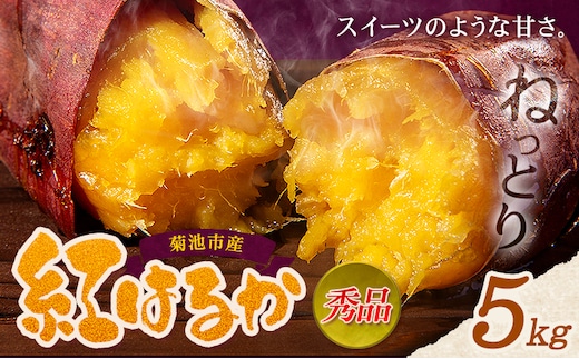 秀品 紅はるか約5kg S～2L混合 株式会社Foody's 《90日以内に発送予定（土日祝を除く）》熊本県 菊池市 さつまいも 芋 紅蜜芋 焼き芋 野菜 菊池市産 熊本県産 九州産 ---177-2263---