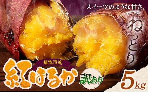 訳あり 紅はるか 約5kg 2S～3L混合 株式会社Foody's 《90日以内に発送予定（土日祝を除く）》熊本県 菊池市 訳あり さつまいも 芋 紅蜜芋 焼き芋 野菜 菊池市産 熊本県産 九州産---177-2262---