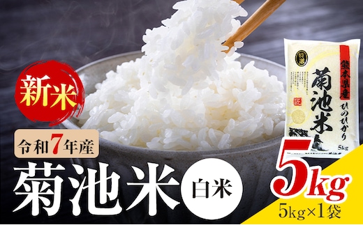 令和7年産 熊本県産 菊池米 白米 5kg 1袋5kg 株式会社くまもとごはん 《30日以内に出荷予定(土日祝除く)》米 お米 令和7年産 九州産 熊本県産 送料無料---026-5027---