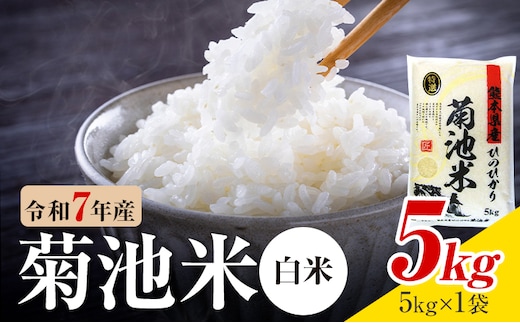 令和7年産 熊本県産 菊池米 白米 5kg 1袋5kg 株式会社くまもとごはん 《30日以内に出荷予定(土日祝除く)》米 お米 令和7年産 九州産 熊本県産 送料無料---026-5027---