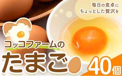 コッコファームのたまご 40個 コッコファーム《90日以内に出荷予定(土日祝除く)》熊本県 菊池市 卵 鶏卵 玉子 たまご 家庭用 熊本県産 九州産 冷蔵 送料無料---043-2444---
