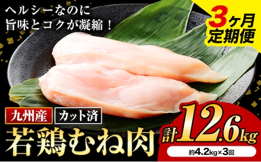 【3ヶ月定期便】九州産若鶏ムネ肉 カット済 600g×7袋×3回 計12.6kg 鶏肉 お肉 ムネ肉 むね肉 小分け 冷凍 九州産 国産 熊本県 菊池市 送料無料《お申込み翌月から出荷》---kikuchi_nky_4_mo3---