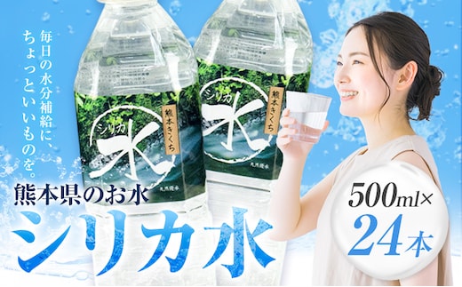 水 シリカ水 500ml × 24本 有限会社七城町特産品センター メロンドーム 《30日以内に出荷予定(土日祝除く)》 熊本県 菊池市 水 軟水 飲料 ドリンク 清涼飲料水 天然地下水 ペットボトル ミネラルウォーター 定期便 送料無料---003-1494---