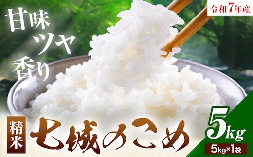 令和7年産 七城のこめ 精米 5kg ヒノヒカリ ひのひかり 有限会社七城町特産品センター 《30日以内に出荷予定(土日祝除く)》 熊本県 菊池市 定期便 お米 米 白米 九州産 熊本県産---003-0545---