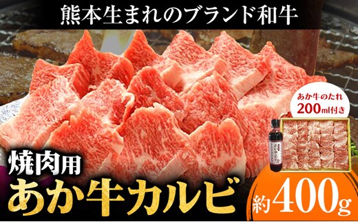 あか牛カルビ焼き肉セット 約400g あか牛のたれ200ml付き 和牛 赤牛 焼肉 スライス済み 熊本県産 九州産 国産 冷凍 送料無料《30日以内に出荷予定(土日祝除く)》---kikuchi_skt_9_400g---