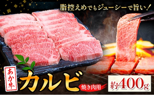 あか牛カルビ 焼き肉用 約400g 合同会社たべたせいか《30日以内に出荷予定(土日祝除く)》熊本県 菊池市 肉 牛肉 お肉 和牛 あか牛 焼き肉 焼肉 やきにく BBQ バーベキュー カルビ 熊本県産 冷凍 送料無料---069-2058---
