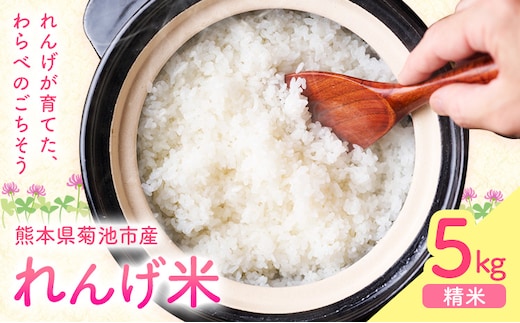 熊本県菊池市産のれんげ米 5kg 《30日以内に出荷予定(土日祝除く)》 精米方法 精米 お米 白米 レンゲ米 熊本県産 九州産 送料無料---313-0001---