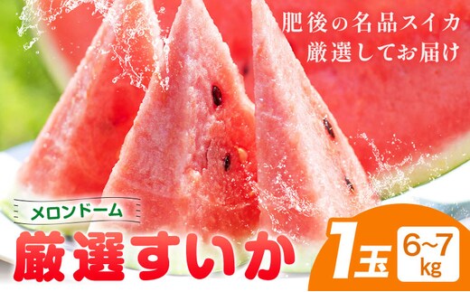 【先行予約】厳選すいか 1玉(6-7kg) 道の駅七城メロンドーム《2027年5月中旬-6月上旬頃出荷》品種おまかせ ランダム 肥後漫遊 味で勝負iS 祭りばやし 果物 フルーツ スイカ 西瓜 九州産 熊本県産 送料無料---003-5039---