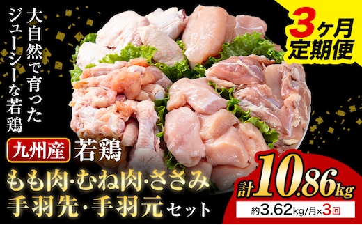 【3ヶ月定期便】 九州産若鶏もも肉 むね肉 ささみ 手羽先 手羽元 セット 計3.62kg 鶏肉 お肉 モモ肉 ムネ肉 5種類 詰め合わせ 小分け 冷凍 九州産 国産 熊本県 菊池市 送料無料《お申込み翌月から出荷》---0146-3106---