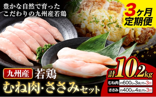 【3ヶ月定期便】 九州産 むね肉（600g×3袋）・ささみ（400g×4袋） 鶏肉 お肉 ムネ肉 2種類 小分け 冷凍 詰め合わせ 九州産 国産 熊本県 菊池市 送料無料《お申込み翌月から出荷》---0146-3093---
