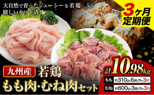 【3ヶ月定期便】 九州産若鶏もも肉（310g×6袋）・むね肉（600g×3袋）セット 鶏肉 お肉 モモ肉 もも肉 ムネ肉 むね肉 2種類 小分け 冷凍 九州産 国産 熊本県 菊池市 送料無料《お申込み翌月から出荷》---0146-3028---