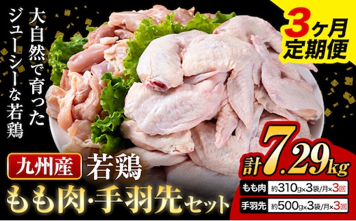 【3ヶ月定期便】 九州産 若鶏もも肉（310g×3袋）・手羽先セット（500g×3袋） 計2.43kg 鶏肉 肉 鶏 手羽 唐揚げ 詰め合わせ セット 冷凍 九州 国産 熊本県 菊池市 送料無料《お申込み翌月から出荷》---0146-3067---