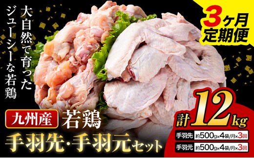 【3ヶ月定期便】 九州産 手羽先（500g×4袋）・手羽元（500g×4袋）セット 計4kg 鶏肉 肉 鶏 手羽 唐揚げ 詰め合わせ セット 冷凍 九州 国産 熊本県 菊池市 送料無料《お申込み翌月から出荷》---0146-3080---
