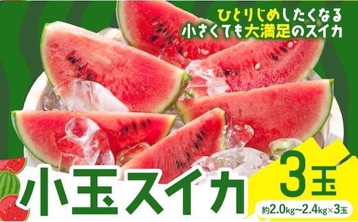 小玉スイカ 3玉【養生市場】 ひとりじめ 果物 フルーツ スイカ 西瓜 九州産 熊本県産 送料無料《2027年4月下旬-5月中旬頃出荷》---003-5035---