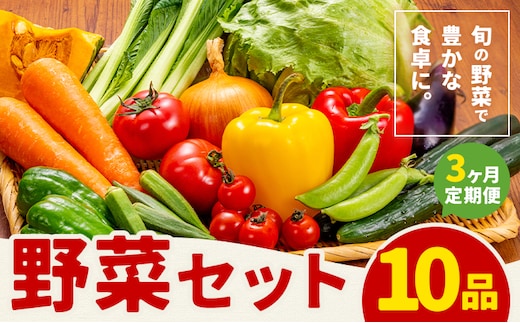 【定期便】 野菜 10品程度 計3回【メロンドーム】 定期便 3ヶ月お届け 詰め合わせ セット 国産 九州産 熊本県 菊池市 道の駅 送料無料《お申し込みの翌月から出荷》---003-1585---
