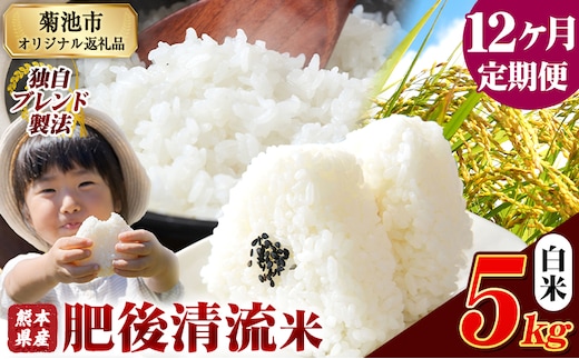【12ヶ月定期便】 熊本県産 肥後清流米 白米 5kg ブレンド米 熊本県産 ふるさと納税 精米 米 こめ ふるさとのうぜい コメ お米 おこめ《お申込み翌月から出荷》---300-4365---