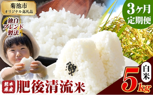 【3ヶ月定期便】 熊本県産 肥後清流米 白米 5kg ブレンド米 熊本県産 ふるさと納税 精米 米 こめ ふるさとのうぜい コメ お米 おこめ《お申込み翌月から出荷》---300-4341---