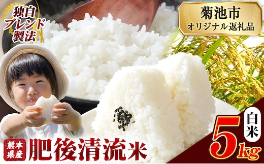 熊本県産 肥後清流米 白米 5kg ブレンド米 熊本県産 ふるさと納税 精米 米 こめ ふるさとのうぜい コメ お米 おこめ《7-14日以内に出荷予定(土日祝除く)》---300-4381---