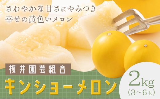 キンショーメロン 2kg(3～6玉) メロン《4月上旬-7月上旬頃出荷》熊本県 菊池市 果物 フルーツ 金鐘 ノーネットメロン 黄色いメロン 菊池市産 熊本県産 九州産 送料無料---101-3002---