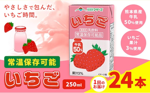常温保存可能 いちご 【1回】250ml×24本 合同会社たべたせいか《30日以内に出荷予定(土日祝除く)》 いちごミルク いちご果汁 苺 イチゴ 牛乳 乳飲料 ジュース ドリンク 熊本県産 国産 九州 熊本県 菊池市 送料無料---016-1507---