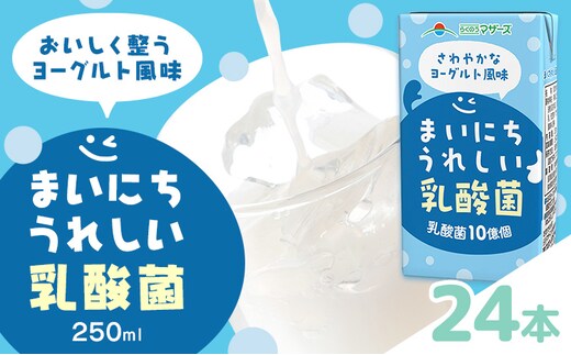常温保存可能 まいにちうれしい 乳酸菌 ヨーグルト風味 250ml×24本 合同会社たべたせいか《30日以内に出荷予定(土日祝除く)》熊本県 菊池市 紙パック ヨーグルト飲料 乳酸菌 ドリンク 飲み物 飲料 常温保存 国産 熊本県産 ---016-1506---