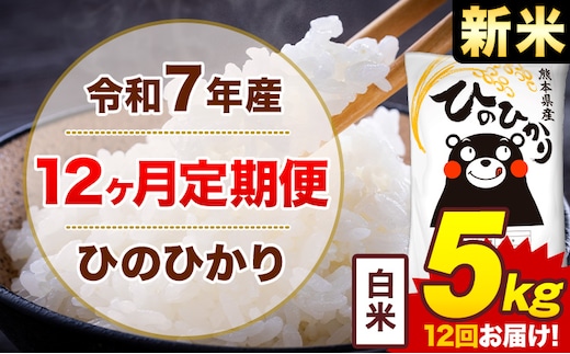 【12ヶ月定期便】新米 令和7年産 白米 5kg 米 ひのひかり《お申込み月の翌月から出荷開始》熊本県 菊池市 国産 熊本県産 白米 精米 無洗米 送料無料 ヒノヒカリ こめ お米---300-4246---