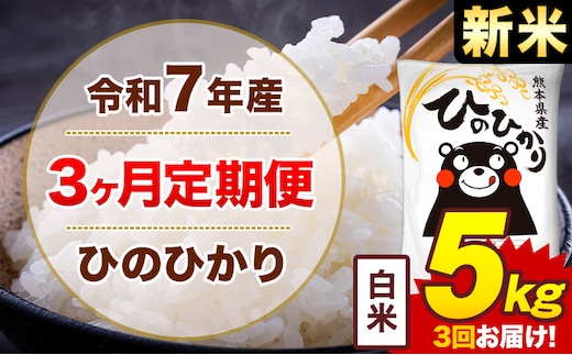 【3ヶ月定期便】令和7年産 新米 白米 5kg 米 ひのひかり《お申込み月の翌月から出荷開始》熊本県 菊池市 国産 熊本県産 白米 精米 無洗米 送料無料 ヒノヒカリ こめ お米---300-4244---