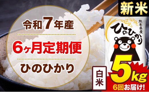 【6ヶ月定期便】新米 令和7年産 白米 5kg 米 ひのひかり《お申込み月の翌月から出荷開始》熊本県 菊池市 国産 熊本県産 白米 精米 無洗米 送料無料 ヒノヒカリ こめ お米---300-4245---