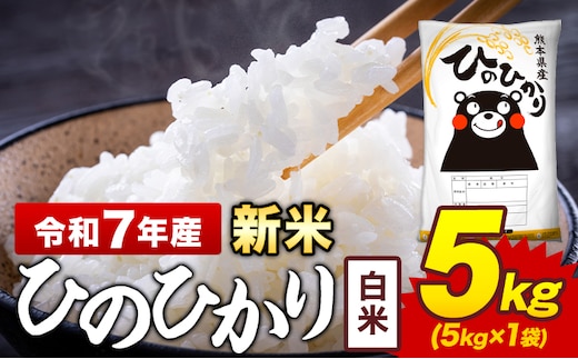 令和7年産 新米 白米 米 ひのひかり 5kg《7-14日以内に出荷予定(土日祝除く)》熊本県 菊池市 国産 熊本県産 白米 精米 送料無料 ヒノヒカリ こめ お米 ---300-4373---