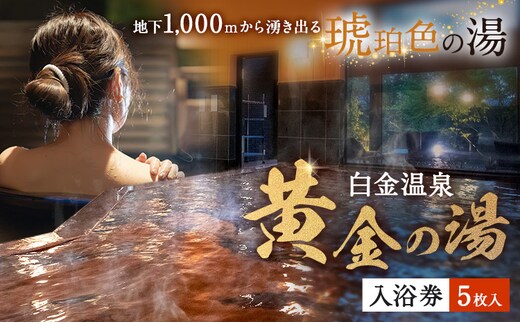 白金温泉 黄金の湯 入浴券 5枚 株式会社白金の森《30日以内に出荷予定(土日祝除く)》熊本県 菊池市 チケット 温泉 天然温泉 旅行 送料無料---075-0510---