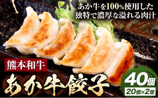 熊本和牛あか牛ぎょうざセット 20個入り×2箱 合計40個 熊本 あか牛 餃子 ぎょうざ 惣菜 おかず おつまみ 冷凍 送料無料《90日以内に出荷予定(土日祝除く)》---kikuchi_skt_13_2p---