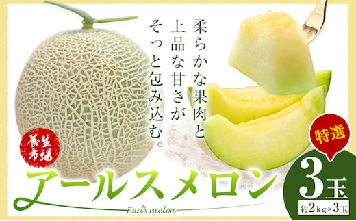 アールスメロン 約2kg×3玉 特選 (約6kg)【養生市場】メロン 果物 フルーツ マスクメロン 九州産 熊本県産 送料無料 《2026年10月中旬-11月中旬頃出荷予定》---003-1152---