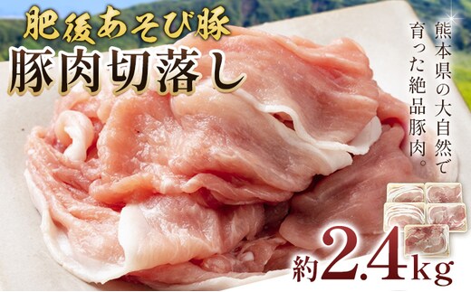 肥後あそび豚切落し 2.4kg 株式会社さつま屋産業 ぶた ブタ 豚肉 肉 ブランド豚 切り落とし 国産 九州産 熊本県産 菊池市産 冷凍 送料無料《90日以内に出荷予定(土日祝除く)》---015-1978---