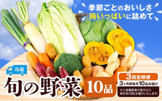 旬の野菜 定期便 計3回 旬の野菜 10品【養生市場】定期便 品種おまかせ ランダム 3ヶ月お届け 計3回 詰め合わせ セット 野菜 九州産 熊本県産《お申し込みの翌月から出荷》---003-2421---