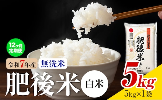 【12ヶ月定期便】熊本県産 肥後米 無洗米 白米 5kg 1袋5kg 米 お米 令和7年産 九州産 熊本県産 送料無料《お申込み翌月に出荷予定》 無洗米 白米 米---026-3005mo12---