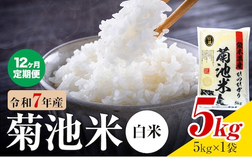 【12ヶ月定期便】熊本県産 白米 5kg 1菊池米袋5kg 米 お米 令和7年産 九州産 熊本県産 送料無料《お申込み翌月に出荷予定》 白米 米---026-5030---