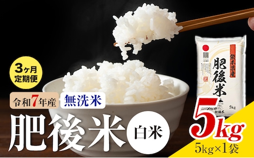 【3ヶ月定期便】熊本県産 肥後米 無洗米 白米 5kg 1袋5kg 米 お米 令和7年産 九州産 熊本県産 送料無料《お申込み翌月に出荷予定》 無洗米 白米 米---026-3005mo3---