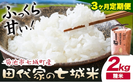 【3ヶ月定期便】令和7年産 菊池市七城町産 田代家の七城米 七城ヒノヒカリ 白米 2kg 田代こめや《お申込み翌月から出荷》熊本県 菊池市 米 お米 精米 ひのひかり 菊池市産 熊本県産 九州産 送料無料---323-5013---