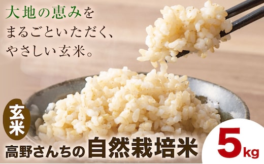 令和7年産 高野さんちの自然栽培米 玄米 5kg《通常パッケージ》株式会社有機農場《30日以内に出荷予定(土日祝除く)》熊本県 菊池市 米 お米 ヒノヒカリ ひのひかり 自然栽培米 七城物語 熊本県産---045-3025---