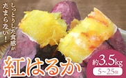 さつまいも 紅はるか 約3.5kg(5-25個) 株式会社GGYパッケージ《2025年11月下旬-2026年4月上旬頃出荷》熊本県 菊池市 さつまいも 紅はるか 芋 いも 野菜 国産 焼き芋 スイートポテト 芋ようかん 大学芋 干し芋 しっとり 旬 送料無料---124-2358---