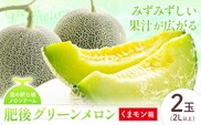【先行予約】肥後グリーンメロン 2玉 2L以上 くまモン箱【メロンドーム】 有限会社七城町特産品センター《5月中旬-6月中旬頃出荷》熊本県 菊池市 メロン グリーンメロン 果物 フルーツ 熊本県産 送料無料---003-1570---