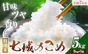 令和7年産 七城のこめ 特選米 七つ星 精米 ヒノヒカリ ひのひかり 5kg 有限会社七城町特産品センター《30日以内に出荷予定(土日祝を除く)》 熊本県 菊池市 お米 米 白米 九州産 熊本県産---003-0546---