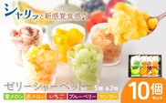 ゼリーシャーベット 10個セット(5種類×各2個) 道の駅七城メロンドーム 《30日以内に出荷予定(土日祝除く)》メロン いちご マンゴー ブルーベリー シャーベット 洋菓子 お菓子 おやつ ゼリーシャーベット 送料無料---003-1070---