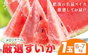 【先行予約】厳選すいか 1玉(6-7kg) 道の駅七城メロンドーム《2027年5月中旬-6月上旬頃出荷》品種おまかせ ランダム 肥後漫遊 味で勝負iS 祭りばやし 果物 フルーツ スイカ 西瓜 九州産 熊本県産 送料無料---003-5039---