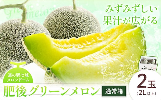 【先行予約】肥後グリーンメロン 2玉 2L以上 通常箱【メロンドーム】 有限会社七城町特産品センター《5月中旬-6月中旬頃出荷》熊本県 菊池市 メロン グリーンメロン 果物 フルーツ 熊本県産 送料無料---003-1571---
